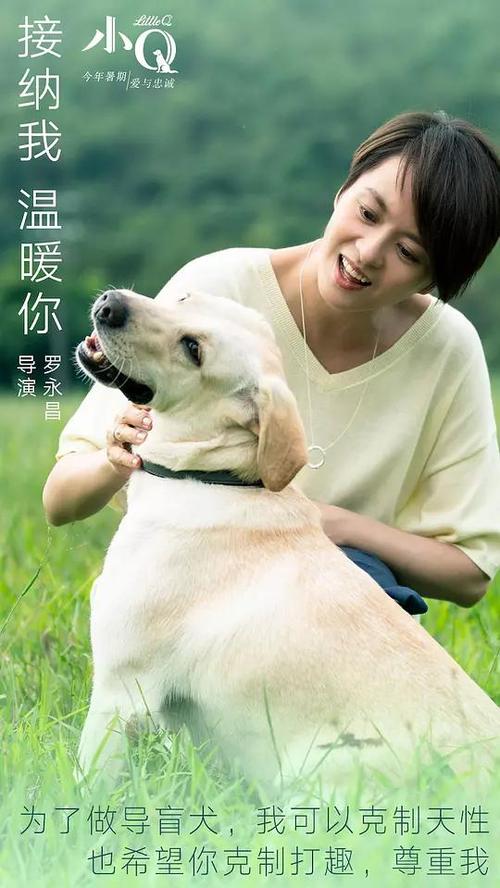 西北纳萨瑞恩学院本科成绩单